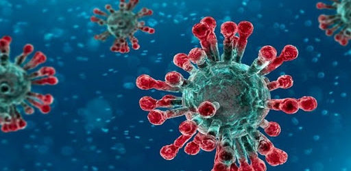 Protocollo Covid e segnalazioni condizioni di fragilità SI PUBBLICA LA CIRCOLARE RELATIVA ALLE INDICAZIONI DI CUI ALL’OGGETTO.