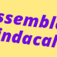 Si informa che le organizzazioni Sindacali indicono un’assemblea sindacale provinciale deilavoratori (personale Docente e ATA) di tutte le Istituzioni scolastiche dei comuni della provincia di FOGGIA. L’assemblea, a norma del vigente Contratto CCNL Scuola e del contratto Collettivo Regionale Integrativo 2008/12, si terrà nelle ultime due ore di servizio, dalle […]